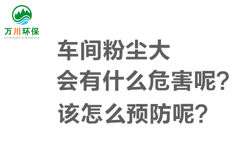 車間粉塵大會(huì)有什么危害呢？該怎么預(yù)防呢？